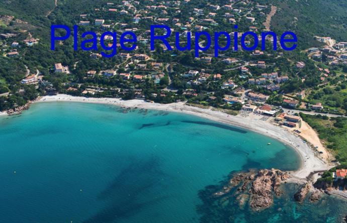 Vue mer panoramique plage 30m. Porticcio Porticcio  Eksteriør bilde