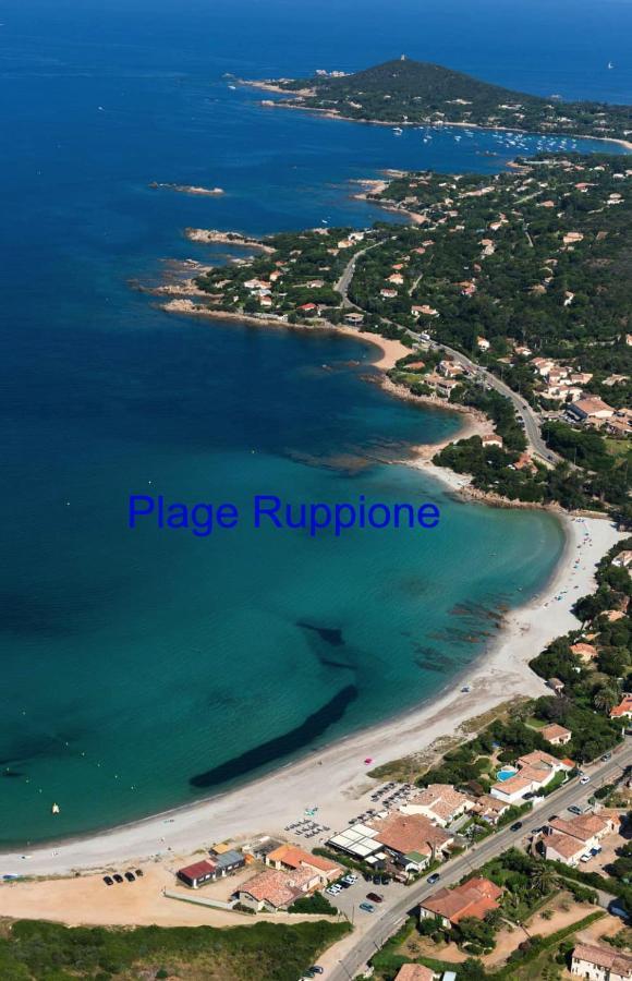 Vue mer panoramique plage 30m. Porticcio Porticcio  Eksteriør bilde