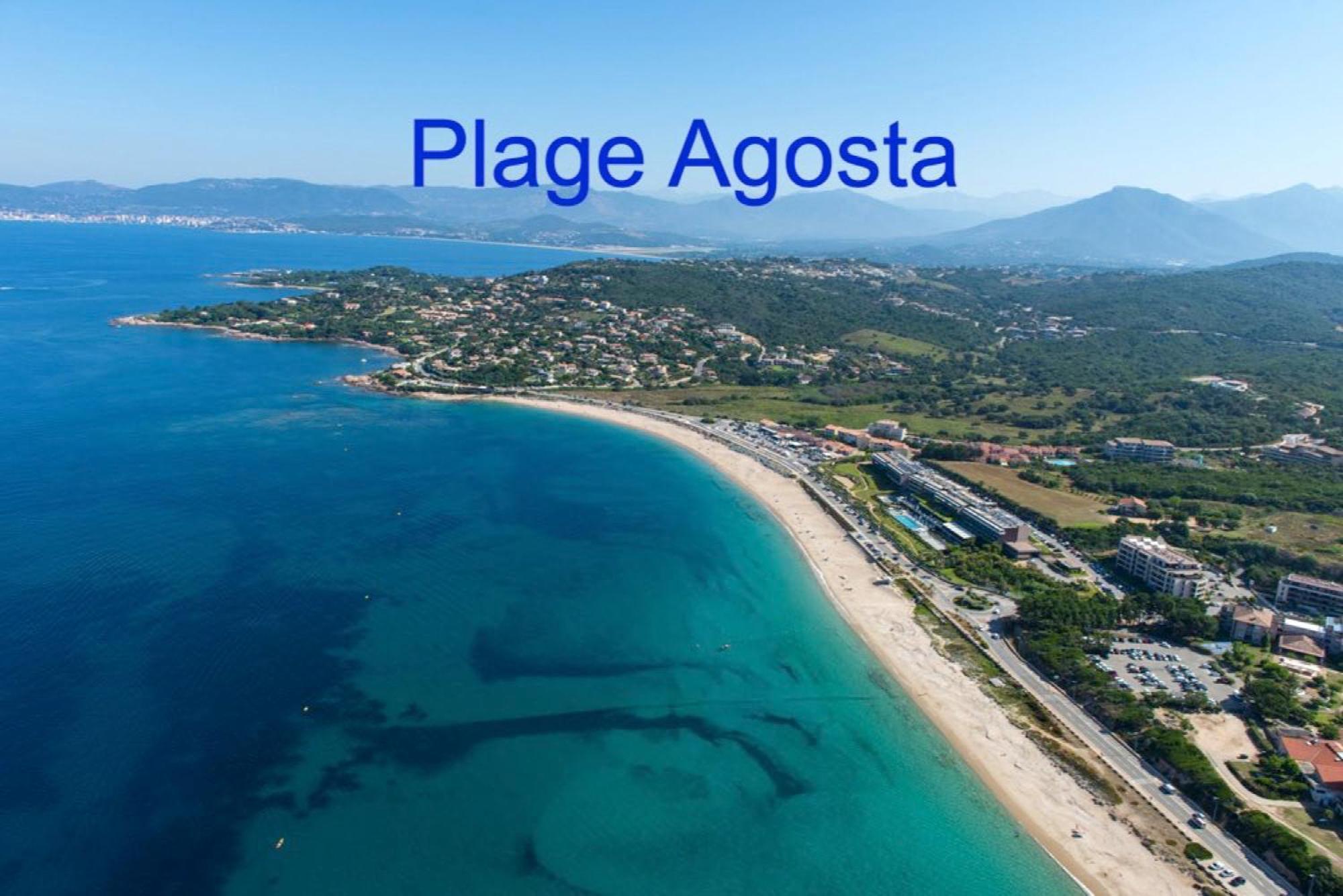 Vue mer panoramique plage 30m. Porticcio Porticcio  Eksteriør bilde