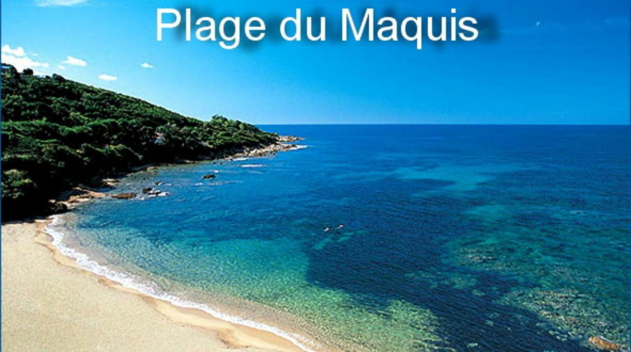 Vue mer panoramique plage 30m. Porticcio Porticcio  Eksteriør bilde